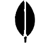 MongoDB Development Company - Kaira Software MongoDB Development Company - Kaira Software